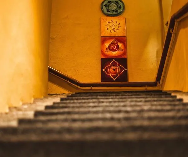 Otel Curuna Pensiun-fruehstueckspension 2*